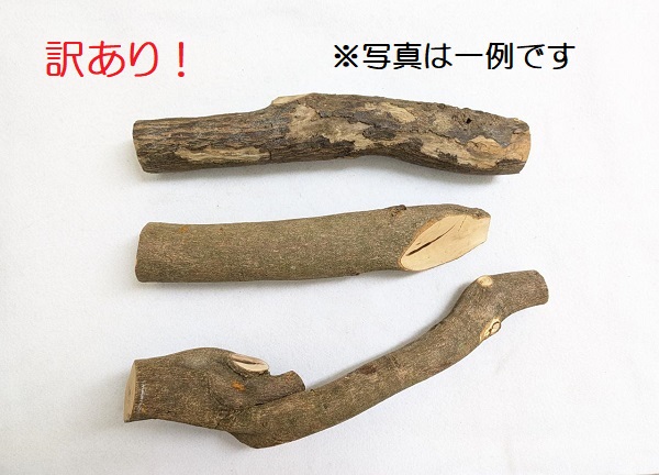 訳あり！国産 自然木止まり木 大（太さ約4.1～6.5cm）各サイズ